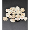 Pendentif coquillage spirale (20pcs)