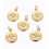 Pendentif médaillon rose des vents+zircon