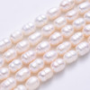 2mm - Chapelet perles de culture naturelles