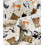 Tissu velours milleraie - Dashwood Studio