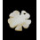 Pendentif nacre gros coeur