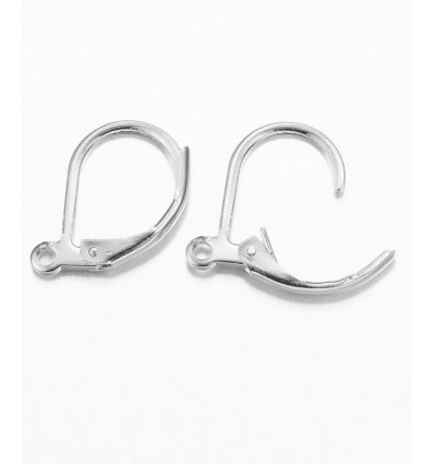 Dormeuses acier inoxydable (1paire)