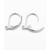 Dormeuses acier inoxydable (1paire)