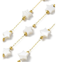 Chaine fine inoxydable (10cm)