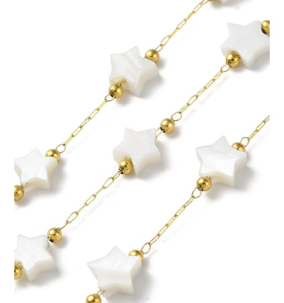 Chaine fine inoxydable (10cm)