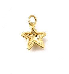 Pendentif étoile de mer + zircon