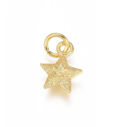 Pendentif étoile