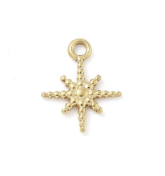 Pendentif étoile du berger acier inox
