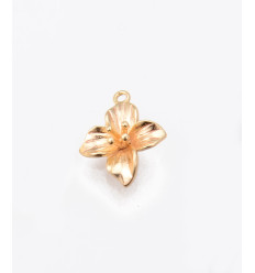 Pendentif iris