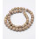 8mm - corail fossilisé - Chapelet pierre