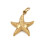 Pendentif étoile de mer