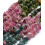 Chapelet pierre chips - aventurine verte
