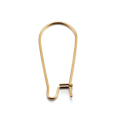 Dormeuses acier inoxydable (1paire)