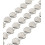 Chaine coquillage XL - acier inoxydable (10 cm)