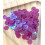 Sequins fleurs 6mm