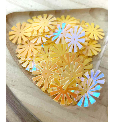 16x16mm - Sequins fleurs oeillets