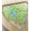 Sequins fleurs 6mm