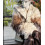 Tissu jacquard bio "Leaf" - Mind The Maker