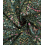 Tissu jacquard bio "Leaf" - Mind The Maker