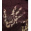Tissu éponge