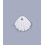 Pendentif petit coquillage en nacre