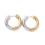 22x22mm - créole ovale bicolore (2pcs)