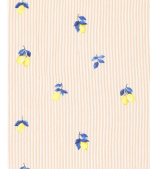 double gaze citron rayure bleu