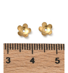 6x5.5mm - capuchons de perles (2pcs)