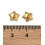 6x5.5mm - capuchons de perles étoiles (2pcs)