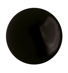 Moule bouton pour résine