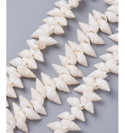 Chapelet coquillages spirales blanc