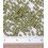 2mm - Perles de rocaille en verre Miyuki 11/0