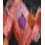 Canvas slub abstract