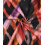 Canvas slub abstract