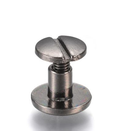 Rivet à visser chicago (1pc)