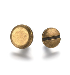 Rivet à visser (1pc)