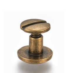 Rivet à visser (1pc)