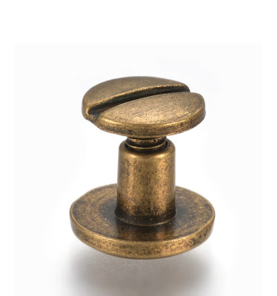 Rivet à visser (1pc)