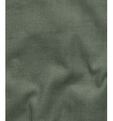 Velours milleraies - vert sauge