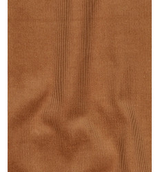 Velours milleraies - camel