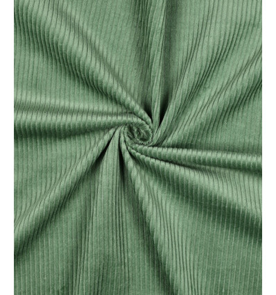 Velours corduroy - basil
