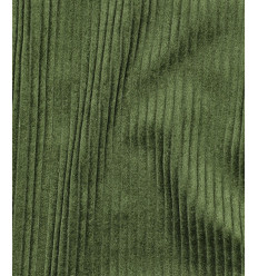 Velours corduroy - vert forêt