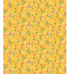 Popeline de coton Dashwood