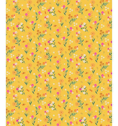 Popeline de coton Dashwood