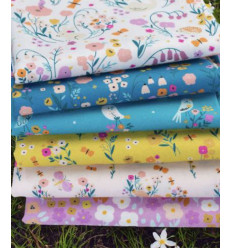 Popeline de coton Dashwood