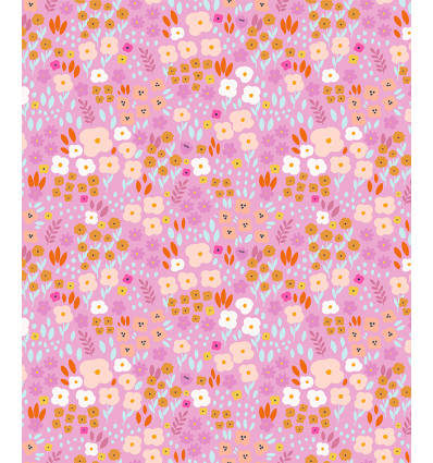 Popeline de coton Dashwood