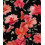 Jersey de viscose fleurs