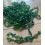 Kit plante en perles