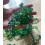 Kit plante en perles